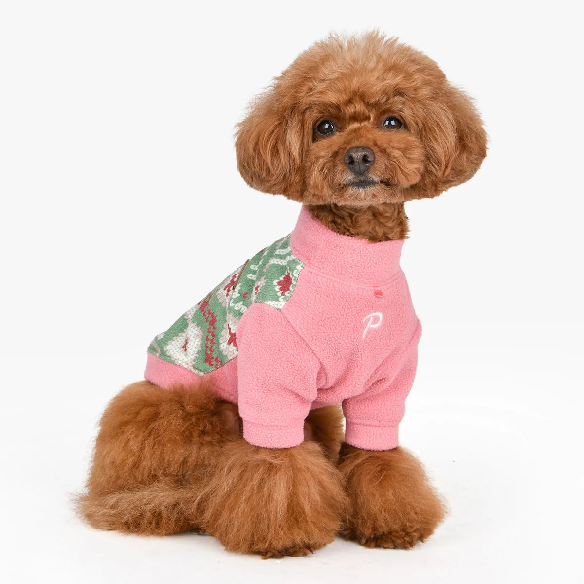 Andri Dog Shirt