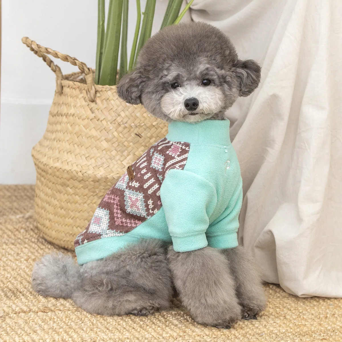 Andri Dog Shirt