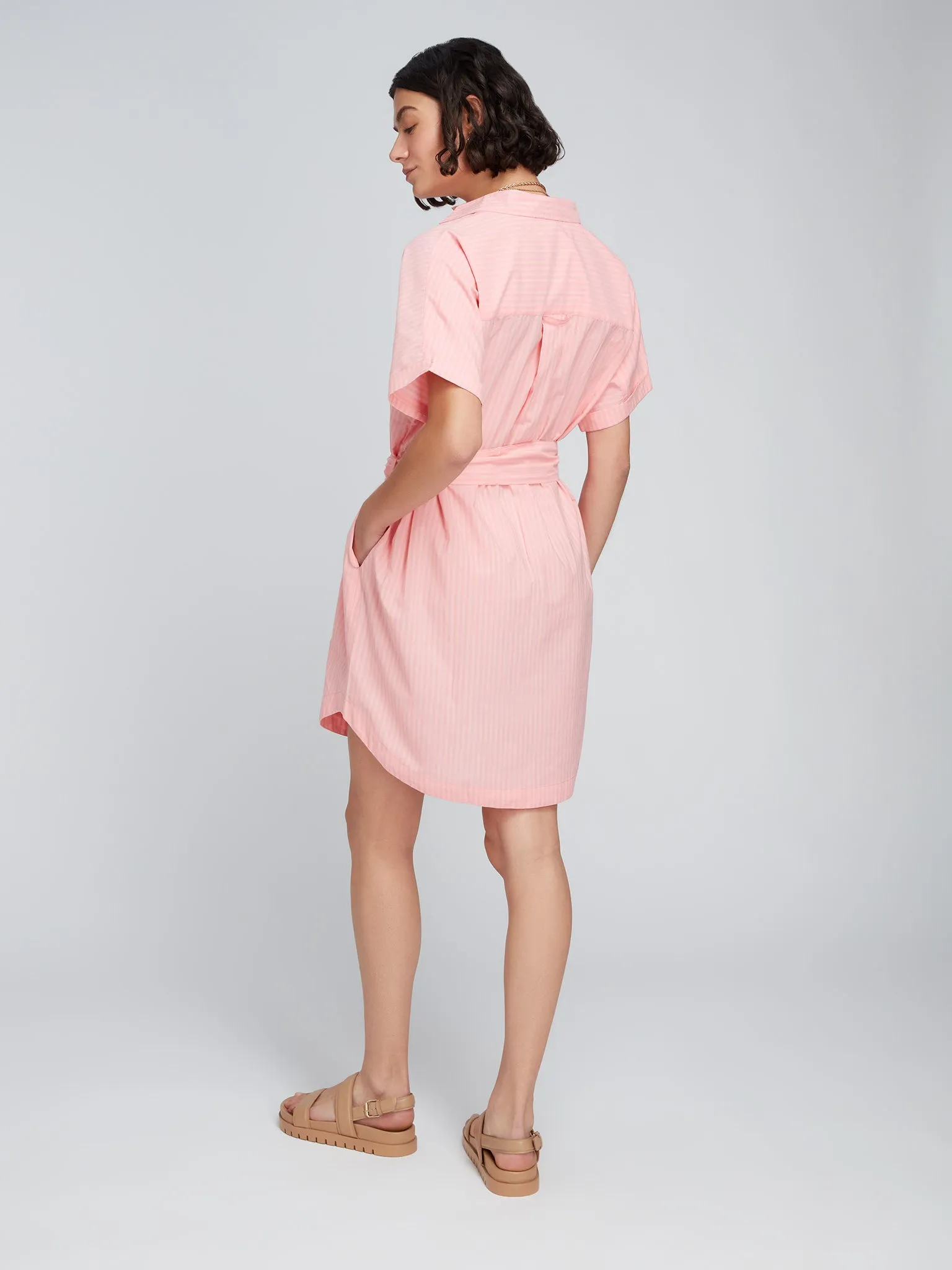 Diantha Shirt Dress in Pink